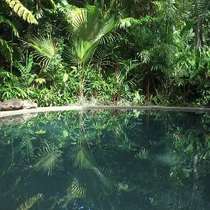 Rainforest Retreat Lodge